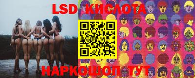 PSILOCYBIN Бугуруслан