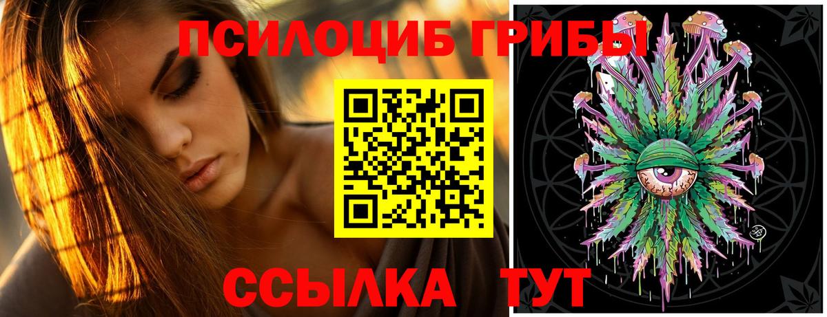 Сердобск  Галлюциногенные грибы мухоморы  наркотики  Вход с VPN 